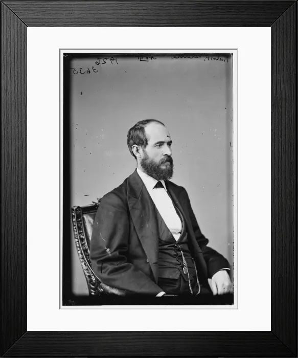 Framed Print : Richard P. Bland, between 1870 and 1880. Creator: Unknown Framed Print : Richard P. Bland, between 1870 and 1880. Creator: Unknown