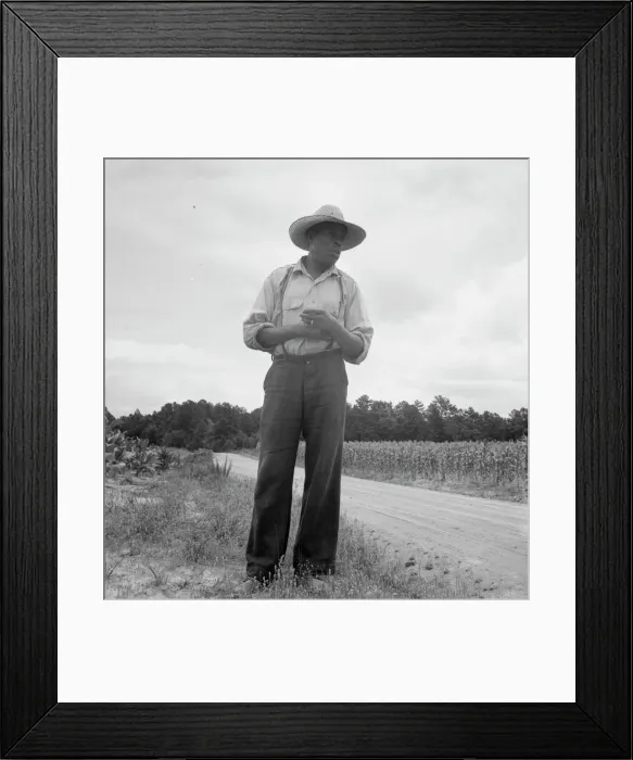 Framed Print : Untitled, 1935-1942. [African-American man near a field of corn]. Creator: Unknown
