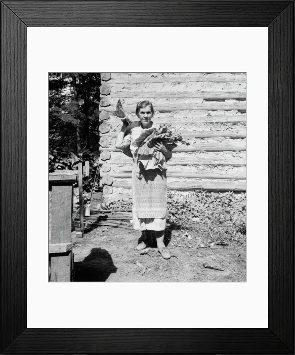 Framed Print : Untitled, 1935-1942. [Woman with tobacco leaves]. Creator: Unknown