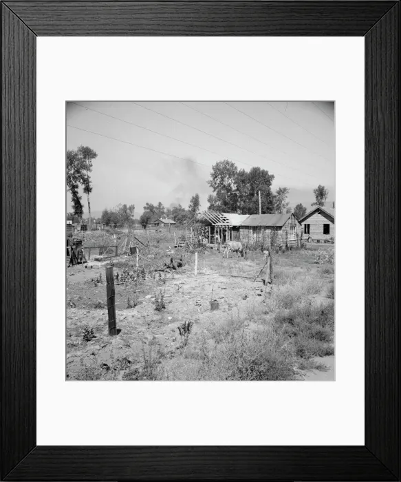 Framed Print : Untitled, 1935-1942. [Rural smallholding]. Creator: Unknown