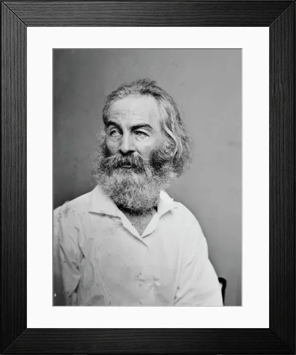 Framed Print : Walt Whitman, 1862. Creator: Bradys National Photographic Portrait Galleries Framed Print : Walt Whitman, 1862. Creator: Bradys National Photographic Portrait Galleries