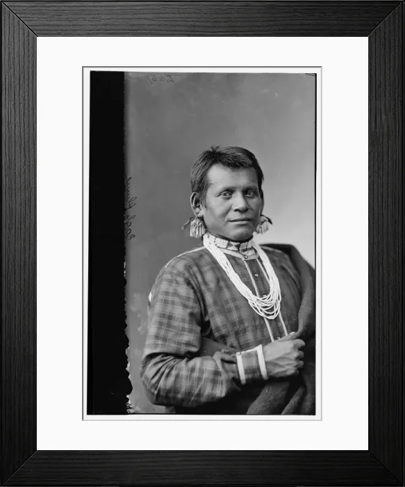 Framed Print : Eagle Plume (Indian), between 1870 and 1880. Creator: Unknown Framed Print : Eagle Plume (Indian), between 1870 and 1880. Creator: Unknown