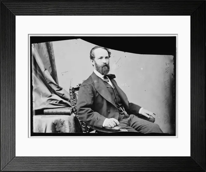 Framed Print : Samuel S. Cox of New York, between 1865 and 1880. Creator: Unknown Framed Print : Samuel S. Cox of New York, between 1865 and 1880. Creator: Unknown
