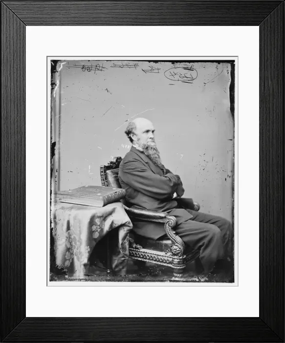 Framed Print : John Franklin Farnsworth of Illinois, between 1860 and 1875. Creator: Unknown Framed Print : John Franklin Farnsworth of Illinois, between 1860 and 1875. Creator: Unknown