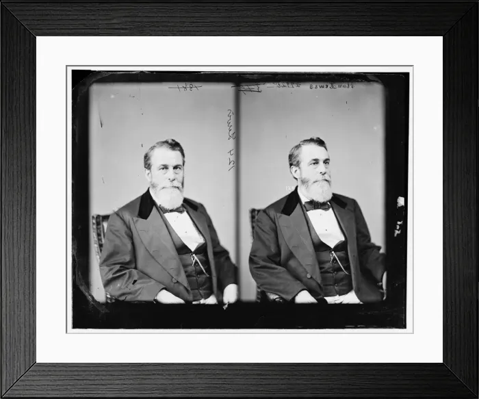 Framed Print : Lewis, between 1865 and 1880. Creator: Unknown Framed Print : Lewis, between 1865 and 1880. Creator: Unknown