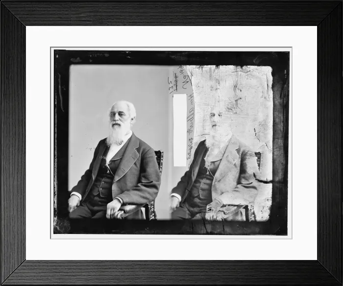Framed Print : Albert, between 1865 and 1880. Creator: Unknown Framed Print : Albert, between 1865 and 1880. Creator: Unknown