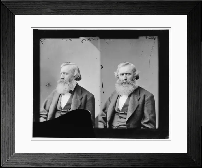 Framed Print : Woody, W. L. between 1865 and 1880. Creator: Unknown Framed Print : Woody, W. L. between 1865 and 1880. Creator: Unknown