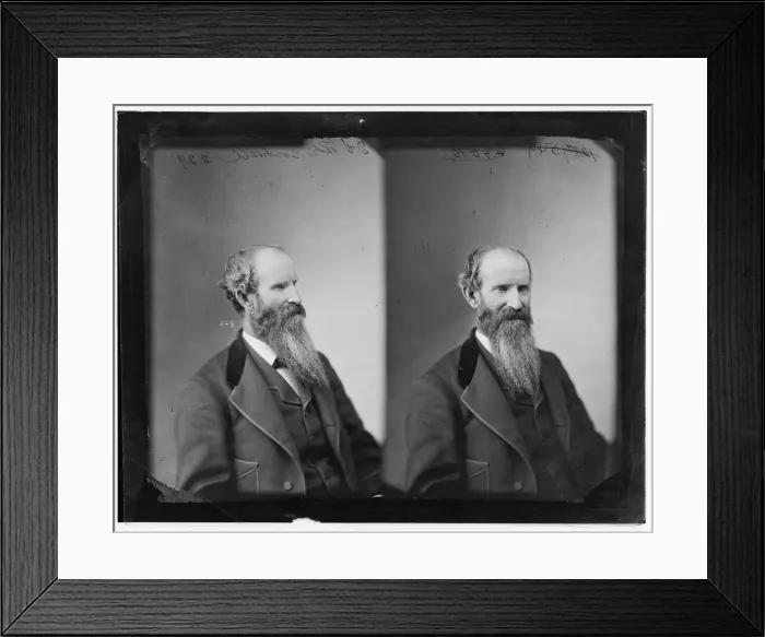 Framed Print : D. S. Whittensall? or Whittenball, between 1865 and 1880. Creator: Unknown Framed Print : D. S. Whittensall? or Whittenball, between 1865 and 1880. Creator: Unknown