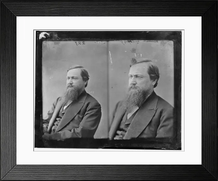 Framed Print : Mark Hill Dunnell of Minnesota, between 1865 and 1880. Creator: Unknown Framed Print : Mark Hill Dunnell of Minnesota, between 1865 and 1880. Creator: Unknown