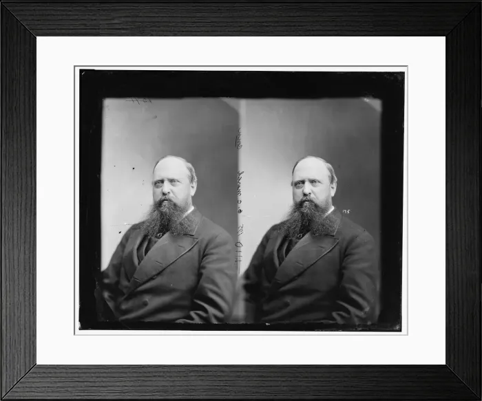 Framed Print : Professor O. C. Marsh of Connecticut, between 1865 and 1880. Creator: Unknown Framed Print : Professor O. C. Marsh of Connecticut, between 1865 and 1880. Creator: Unknown