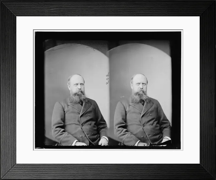 Framed Print : Professor O. C. Marsh, 1865-1880. Creator: Unknown Framed Print : Professor O. C. Marsh, 1865-1880. Creator: Unknown