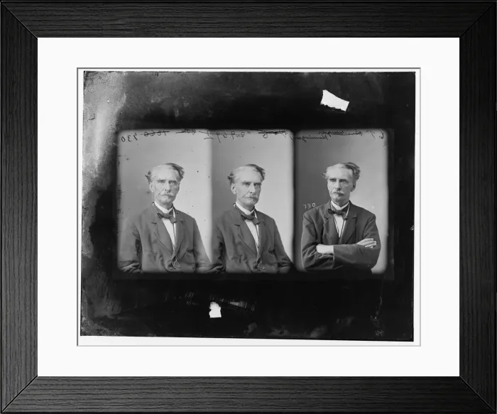 Framed Print : C. T. Henningson, 1865-1880. Creator: Unknown Framed Print : C. T. Henningson, 1865-1880. Creator: Unknown