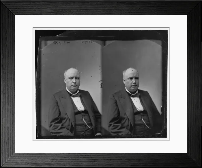 Framed Print : Robert Ingersoll, 1865-1880. Creator: Unknown Framed Print : Robert Ingersoll, 1865-1880. Creator: Unknown
