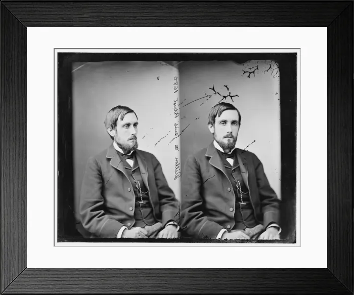 Framed Print : Mr. Dillon (the Irish Patriot), 1865-1880. Creator: Unknown Framed Print : Mr. Dillon (the Irish Patriot), 1865-1880. Creator: Unknown