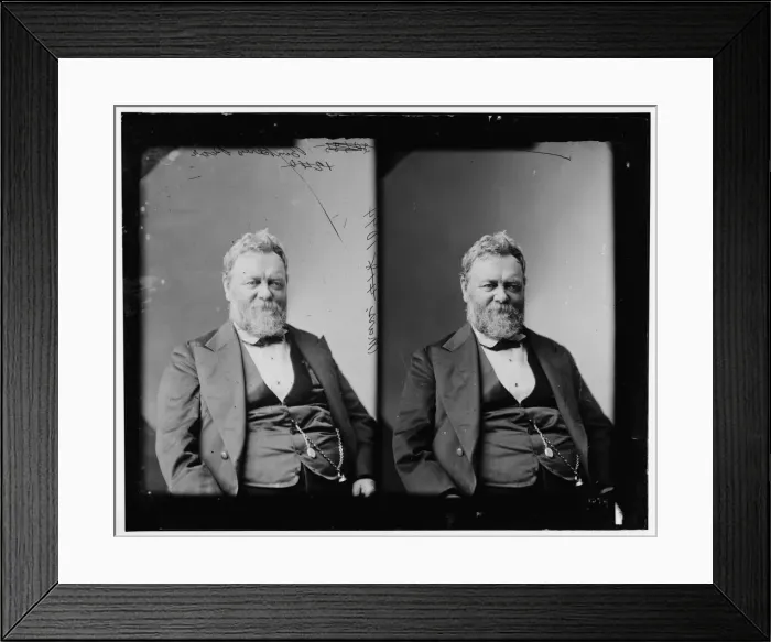 Framed Print : Benjamin Perley Poore of Massachusetts, 1865-1880. Creator: Unknown