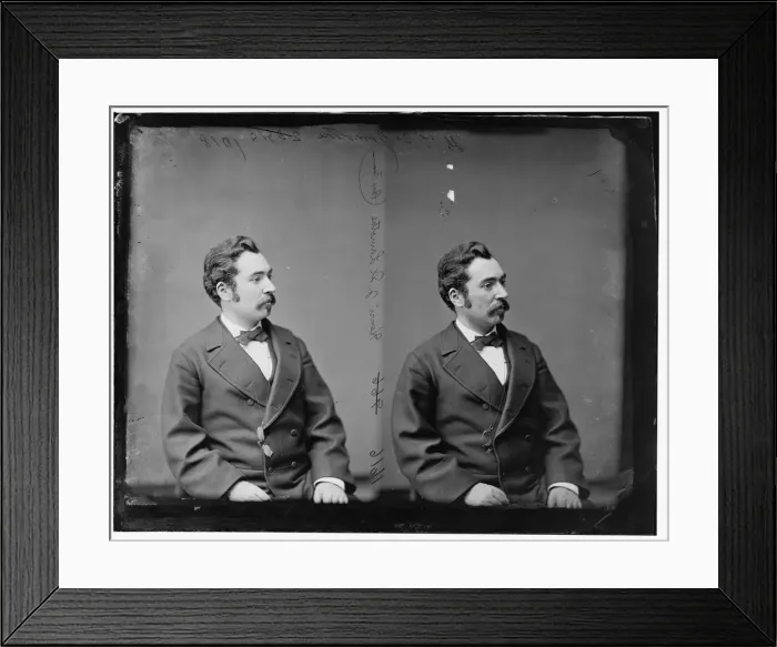 Framed Print : Henri DeLamothe, French Legation, 1865-1880. Creator: Unknown Framed Print : Henri DeLamothe, French Legation, 1865-1880. Creator: Unknown