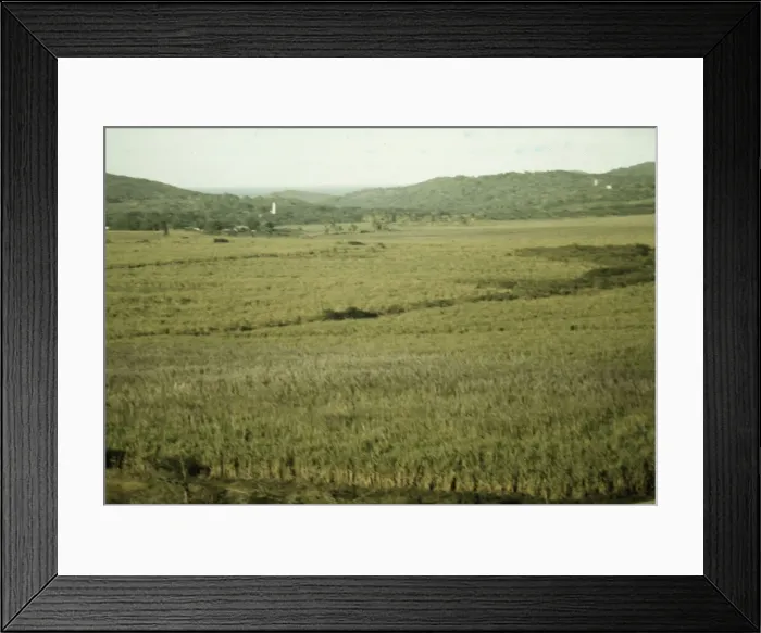 Framed Print : Sugar cane land, Yabucoa Valley? Puerto Rico, 1941. Creator: Jack Delano Framed Print : Sugar cane land, Yabucoa Valley? Puerto Rico, 1941. Creator: Jack Delano