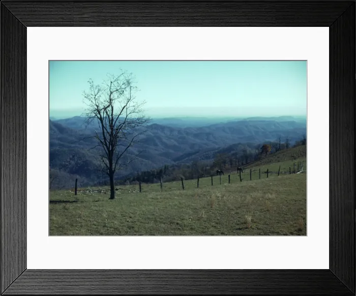 Framed Print : Mountain farm along Skyline Drive, Va. ca. 1940. Creator: Jack Delano Framed Print : Mountain farm along Skyline Drive, Va. ca. 1940. Creator: Jack Delano