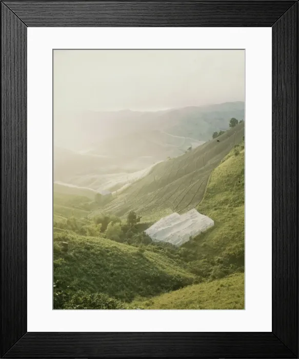 Framed Print : Tobacco country, vicinity of Barranquitas, Puerto Rico, 1941. Creator: Jack Delano Framed Print : Tobacco country, vicinity of Barranquitas, Puerto Rico, 1941. Creator: Jack Delano