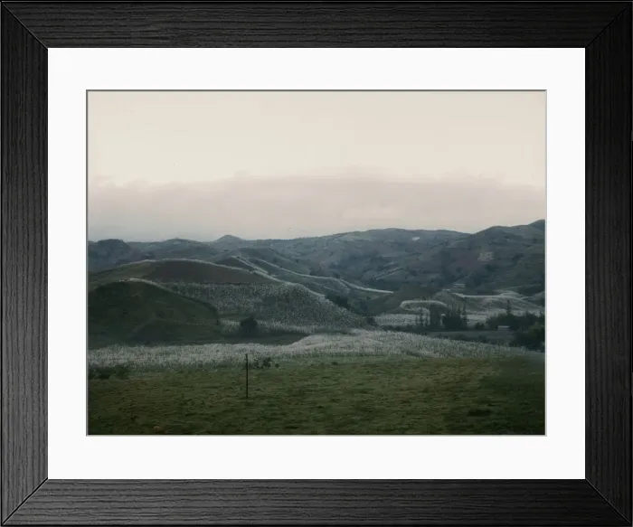 Framed Print : Tobacco country, vicinity of Barranquitas? Puerto Rico, 1941. Creator: Jack Delano Framed Print : Tobacco country, vicinity of Barranquitas? Puerto Rico, 1941. Creator: Jack Delano