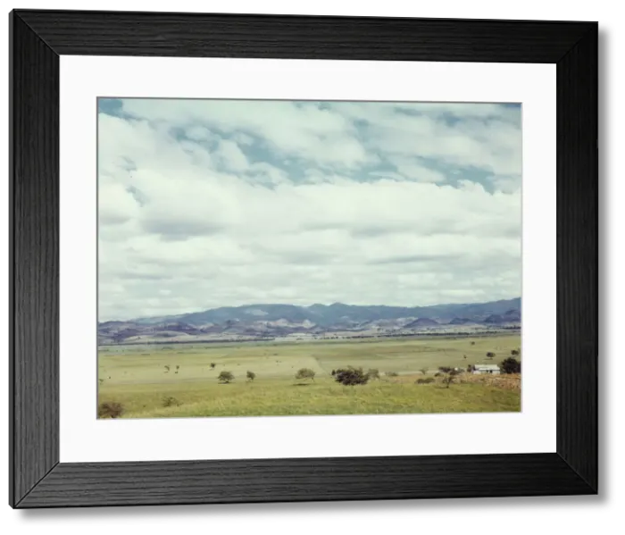 Framed Print : In the flat cattle country in the south western tip of Puerto Rico, 1942. Creator: Jack Delano Framed Print : In the flat cattle country in the south western tip of Puerto Rico, 1942. Creator: Jack Delano