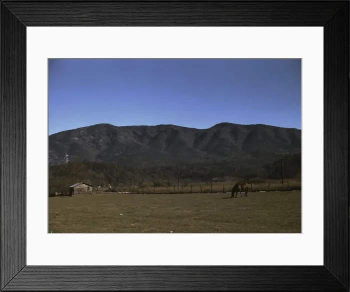 Framed Print : Horse in the pasture of a mountain farm along the Skyline Drive in Virginia, ca. 1940. Creator: Jack Delano Framed Print : Horse in the pasture of a mountain farm along the Skyline Drive in Virginia, ca. 1940. Creator: Jack Delano