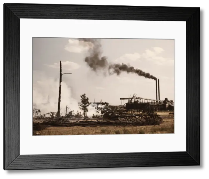 Framed Print : Sawmill at the Greensboro Lumber Co. Greensboro, Ga. 1941?. Creator: Jack Delano Framed Print : Sawmill at the Greensboro Lumber Co. Greensboro, Ga. 1941?. Creator: Jack Delano