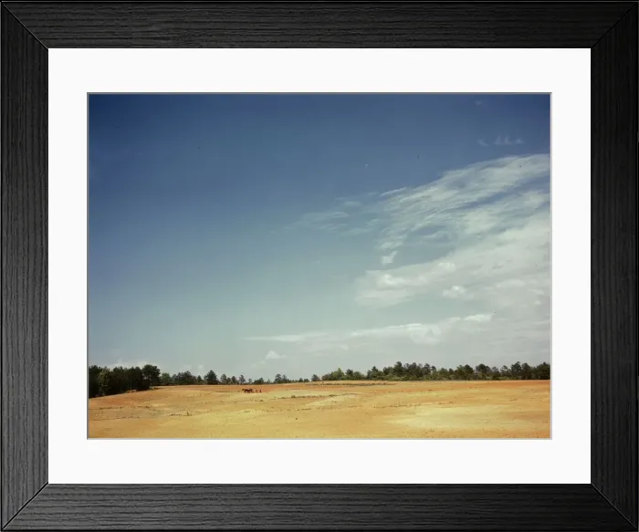 Framed Print : Farm Security Administration borrower plowing on the Jones farm, vicinity of Greshamville, Ga. 1941 Creator: Jack Delano Framed Print : Farm Security Administration borrower plowing on the Jones farm, vicinity of Greshamville, Ga. 1941 Creator: Jack Delano