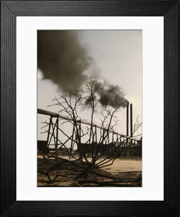 Framed Print : Sawmill at the Greensboro Lumber Co. Greensboro, Ga. 1941?. Creator: Jack Delano Framed Print : Sawmill at the Greensboro Lumber Co. Greensboro, Ga. 1941?. Creator: Jack Delano
