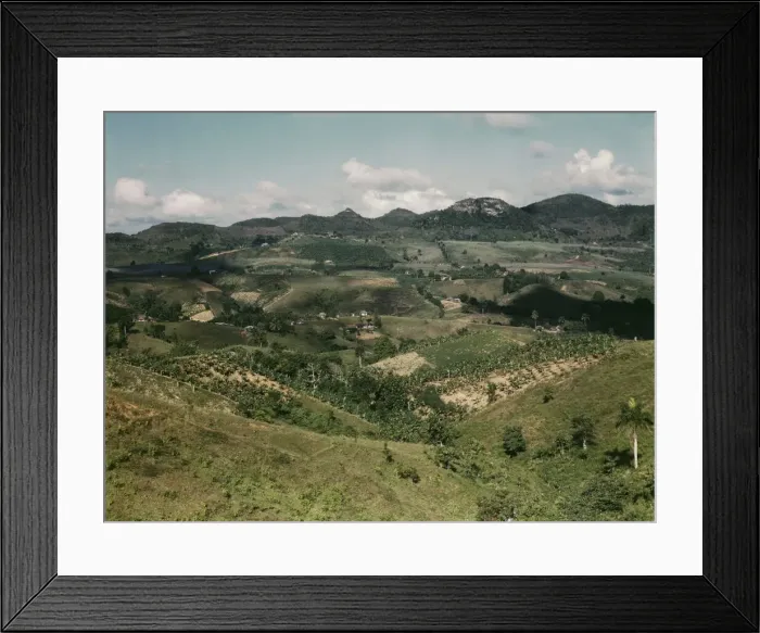 Framed Print : Small farms in the hills, vicinity of Corozal, Puerto Rico, 1941. Creator: Jack Delano Framed Print : Small farms in the hills, vicinity of Corozal, Puerto Rico, 1941. Creator: Jack Delano