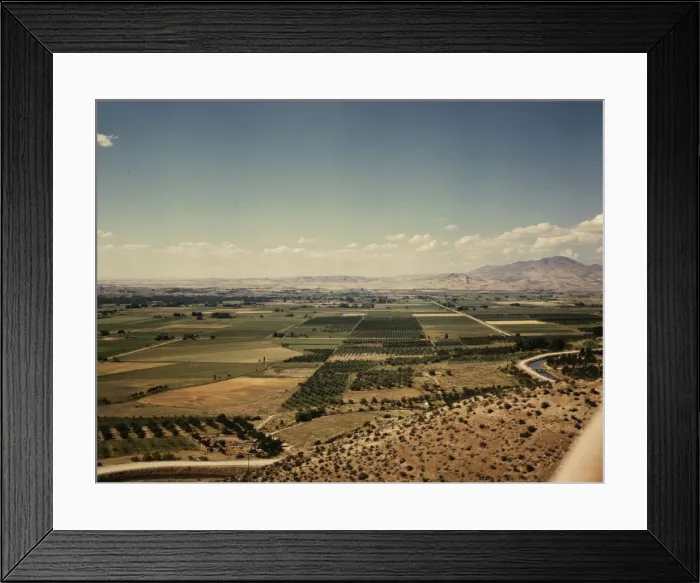 Framed Print : Cherry orchards, farm lands and irrigation ditch at Emmett, Idaho, 1941. Creator: Russell Lee Framed Print : Cherry orchards, farm lands and irrigation ditch at Emmett, Idaho, 1941. Creator: Russell Lee