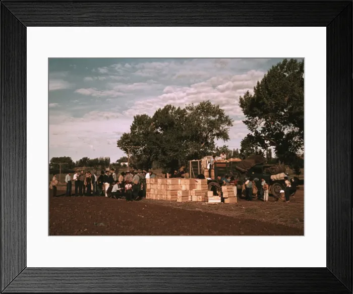Framed Print : Distributing surplus commodities, St. Johns, Ariz. 1940. Creator: Russell Lee Framed Print : Distributing surplus commodities, St. Johns, Ariz. 1940. Creator: Russell Lee