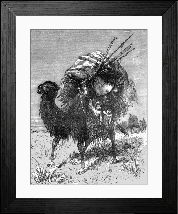 Framed Print : Camel of a Tartar Emigrant; The newly-conquered Russian Province of Dzungaria, 1875. Creator: Armin Vambery Framed Print : Camel of a Tartar Emigrant; The newly-conquered Russian Province of Dzungaria, 1875. Creator: Armin Vambery