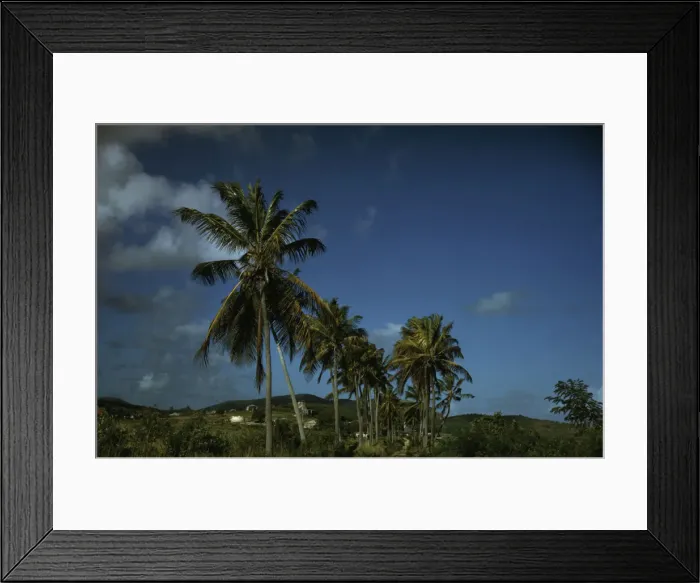 Framed Print : A farm road near one of the villages'on the northern coast, Saint Croix island, V. I. 1941. Creator: Jack Delano Framed Print : A farm road near one of the villages'on the northern coast, Saint Croix island, V. I. 1941. Creator: Jack Delano