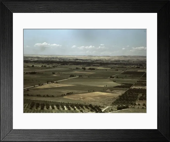 Framed Print : Cherry orchards and farming land, Emmett, Idaho, 1941. Creator: Russell Lee Framed Print : Cherry orchards and farming land, Emmett, Idaho, 1941. Creator: Russell Lee