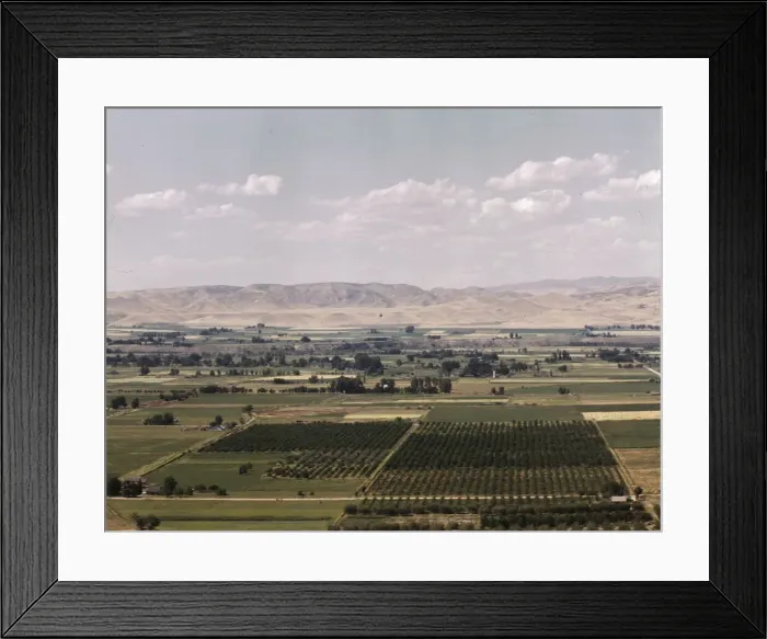 Framed Print : Cherry orchards, farm lands and irrigation ditch at Emmett, Idaho, 1941. Creator: Russell Lee Framed Print : Cherry orchards, farm lands and irrigation ditch at Emmett, Idaho, 1941. Creator: Russell Lee