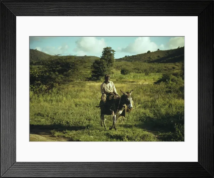 Framed Print : St. Croix, Virgin Islands, 1941. Creator: Jack Delano Framed Print : St. Croix, Virgin Islands, 1941. Creator: Jack Delano
