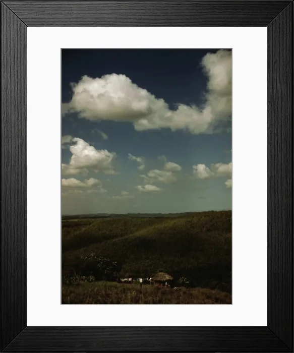 Framed Print : Sugar cane land, vicinity of Rio Piedras, Puerto Rico, 1941. Creator: Jack Delano Framed Print : Sugar cane land, vicinity of Rio Piedras, Puerto Rico, 1941. Creator: Jack Delano