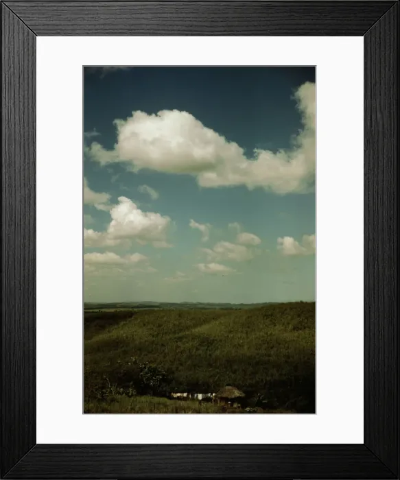 Framed Print : Sugar cane land, vicinity of Rio Piedras, Puerto Rico, 1941. Creator: Jack Delano Framed Print : Sugar cane land, vicinity of Rio Piedras, Puerto Rico, 1941. Creator: Jack Delano