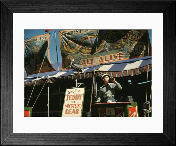 Framed Print : Barker at the grounds at the Vermont state fair, Rutland, 1941. Creator: Jack Delano Framed Print : Barker at the grounds at the Vermont state fair, Rutland, 1941. Creator: Jack Delano