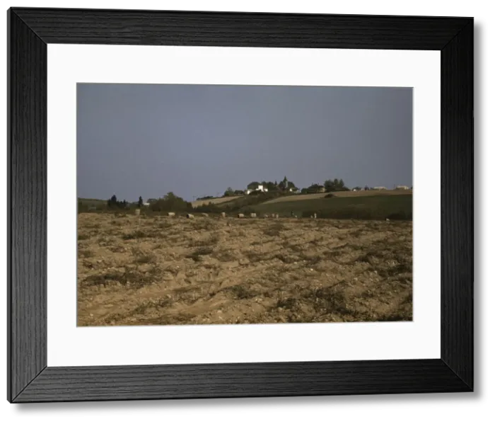 Framed Print : Farm in the vicinity of Van Buren, Aroostook County, Me. 1940. Creator: Jack Delano Framed Print : Farm in the vicinity of Van Buren, Aroostook County, Me. 1940. Creator: Jack Delano