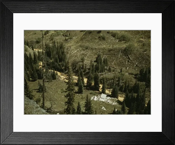 Framed Print : Mountain streams in Ouray County, Colorado, 1940. Creator: Russell Lee