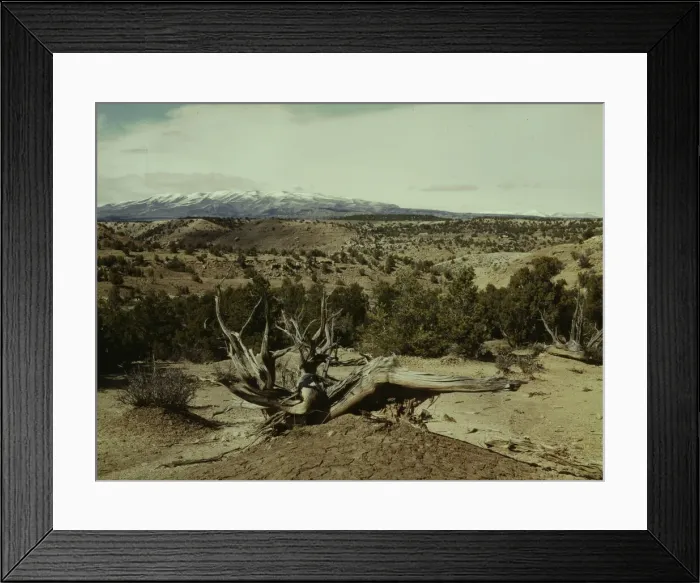 Framed Print : Landscape, Northeast Utah, 1942. Creator: John Vachon Framed Print : Landscape, Northeast Utah, 1942. Creator: John Vachon