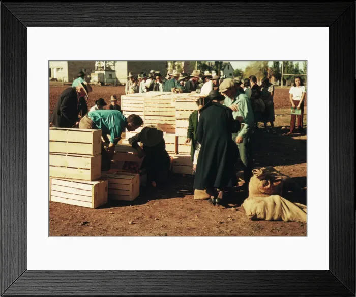 Framed Print : Distributing surplus commodities, St. Johns, Ariz. 1940. Creator: Russell Lee Framed Print : Distributing surplus commodities, St. Johns, Ariz. 1940. Creator: Russell Lee