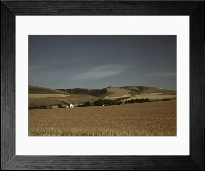 Framed Print : Wheat farm, Walla Walla, Washington, 1941. Creator: Russell Lee Framed Print : Wheat farm, Walla Walla, Washington, 1941. Creator: Russell Lee