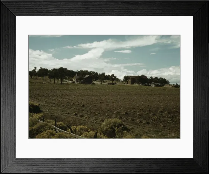 Framed Print : Field of beans and farmstead of Bill Stagg, homesteader, Pie Town, New Mexico, 1940. Creator: Russell Lee Framed Print : Field of beans and farmstead of Bill Stagg, homesteader, Pie Town, New Mexico, 1940. Creator: Russell Lee