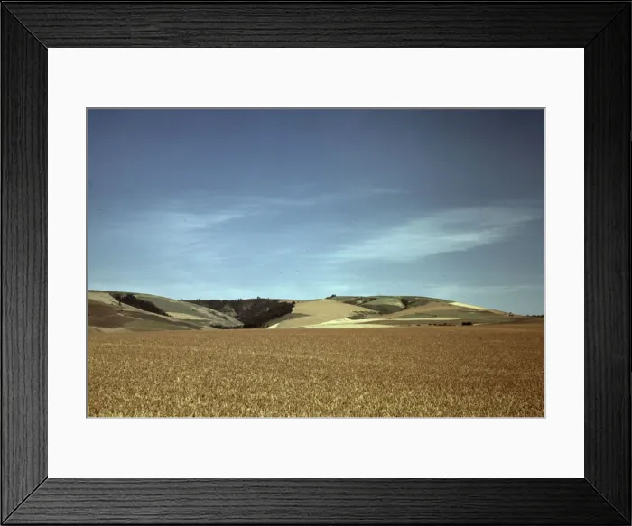 Framed Print : Wheat land, Walla Walla, Washington, 1941. Creator: Russell Lee Framed Print : Wheat land, Walla Walla, Washington, 1941. Creator: Russell Lee