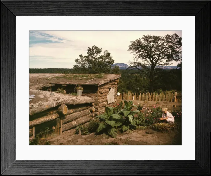 Framed Print : Garden adjacent to the dugout home of Jack Whinery, homesteader, Pie Town, New Mexico, 1940. Creator: Russell Lee Framed Print : Garden adjacent to the dugout home of Jack Whinery, homesteader, Pie Town, New Mexico, 1940. Creator: Russell Lee
