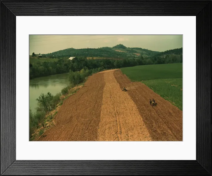 Framed Print : Planting corn along a river in northeastern Tennessee, 1940. Creator: Marion Post Wolcott Framed Print : Planting corn along a river in northeastern Tennessee, 1940. Creator: Marion Post Wolcott