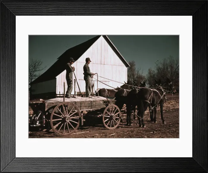 Framed Print : Southeastern Georgia?, ca. 1940. Creator: Marion Post Wolcott
